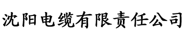 久久狠狠躁夜夜躁电缆厂logo